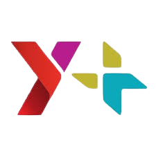 Y+ Global